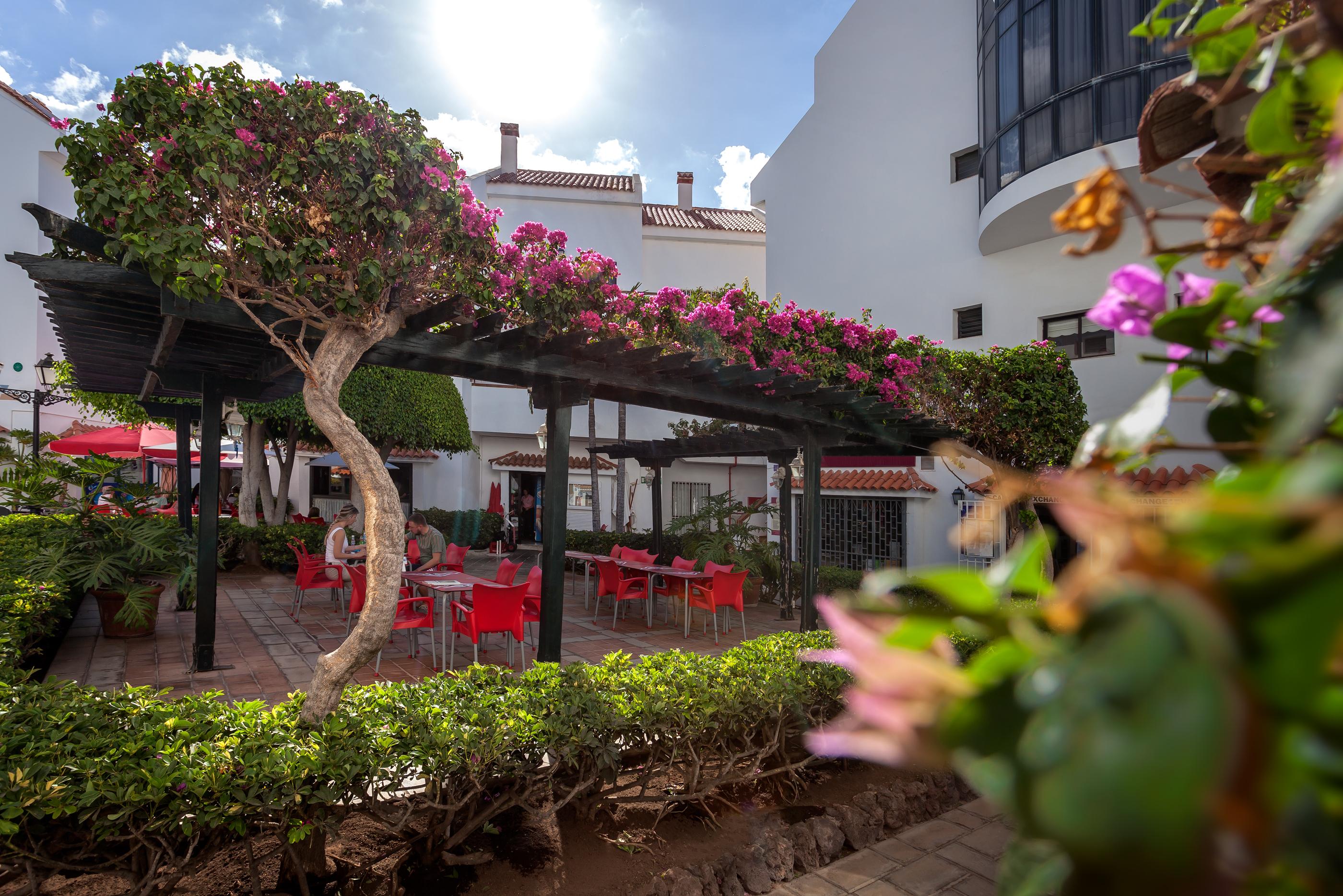 Apartamentos Hg Cristian Sur Los Cristianos  Exterior foto